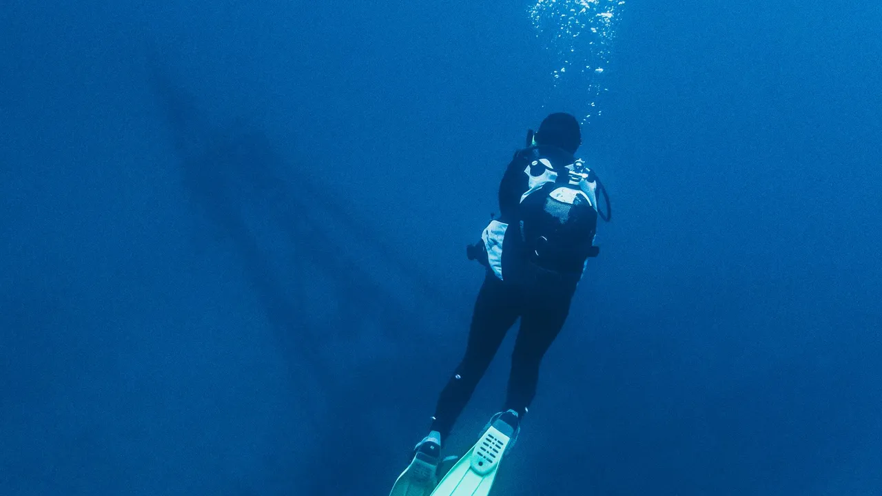 Divers exploring a fish-covered shipwreck in the greenish water off Brunei