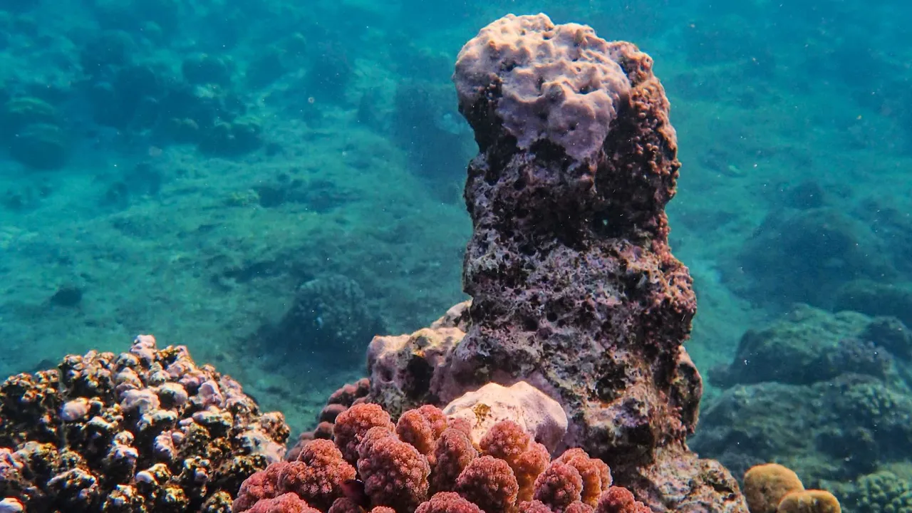 Granite boulders and clear blue water at a Similan Islands dive site in the Andaman Sea