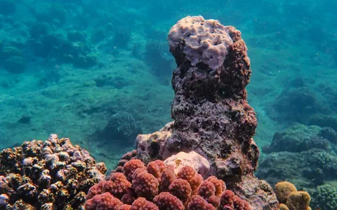 Granite boulders and clear blue water at a Similan Islands dive site in the Andaman Sea
