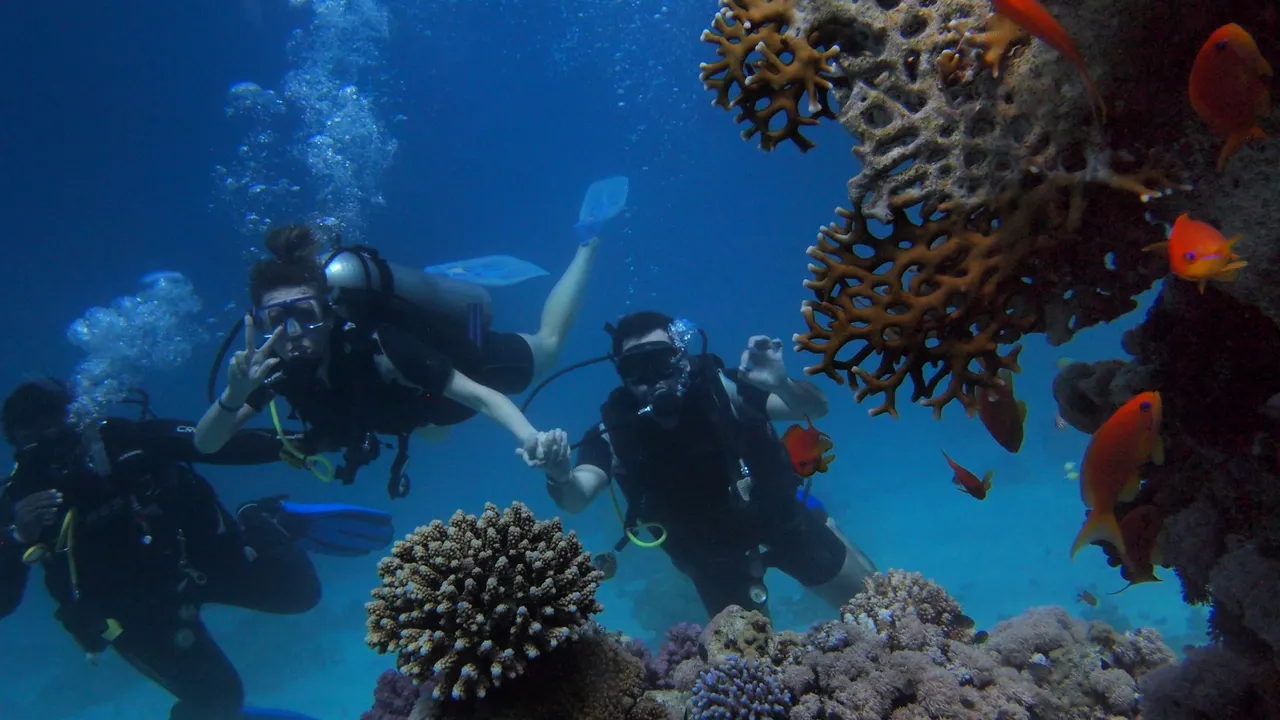 A new diver with a compact camera and a video light, hovering over a shallow reef in good light